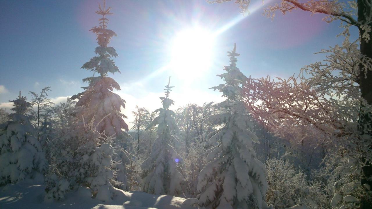 Horska Chata Hubert Bedřichov Exterior foto